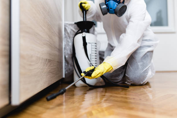 Professional Pest Control in Woodville, CA