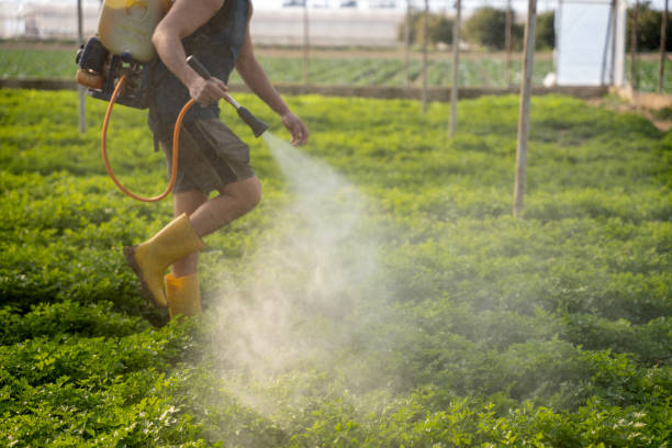 Best Residential Pest Control  in Woodville, CA