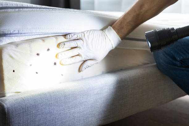 Best Pest Prevention Services  in Woodville, CA