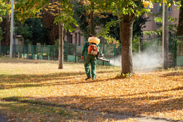 Best Pest Control for Restaurants  in Woodville, CA