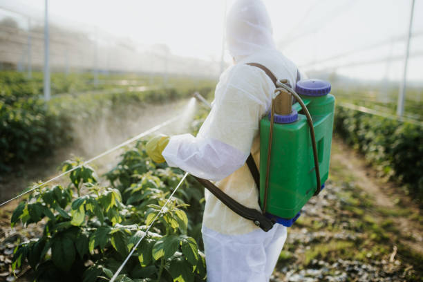 Best Local Pest Control Services  in Woodville, CA